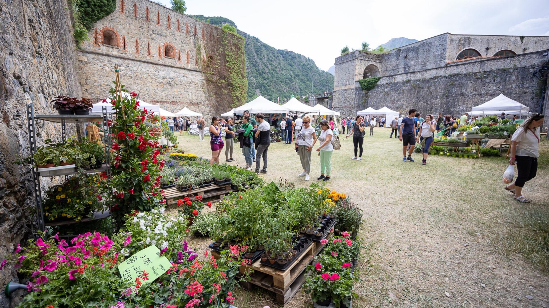 Forte di Vinadio